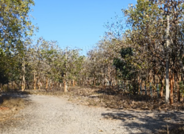 Community Development Initiatives